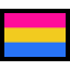 pansexual
